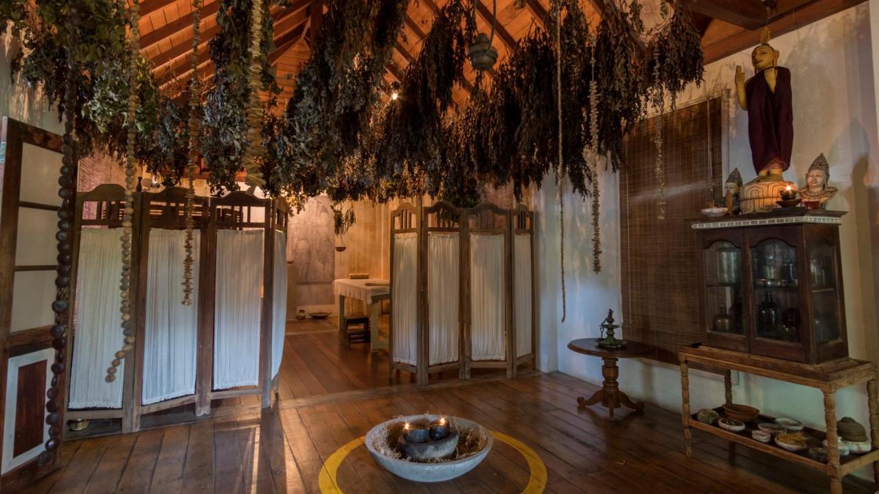 The Lady Hill Hotel Galle Extérieur photo